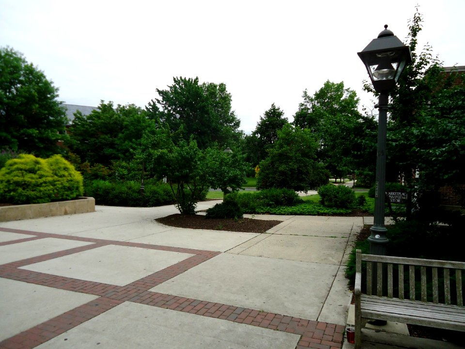 The College of New Jersey (TCNJ) 45