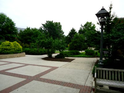 The College of New Jersey (TCNJ) 45