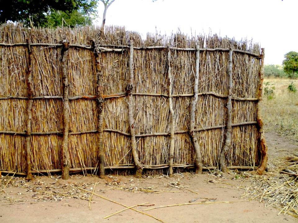 Thatch fence Mukuwila village Zambia 2
