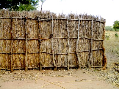 Thatch fence Mukuwila village Zambia 2