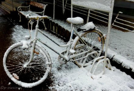 The Bicycle And The Snow (183257561)