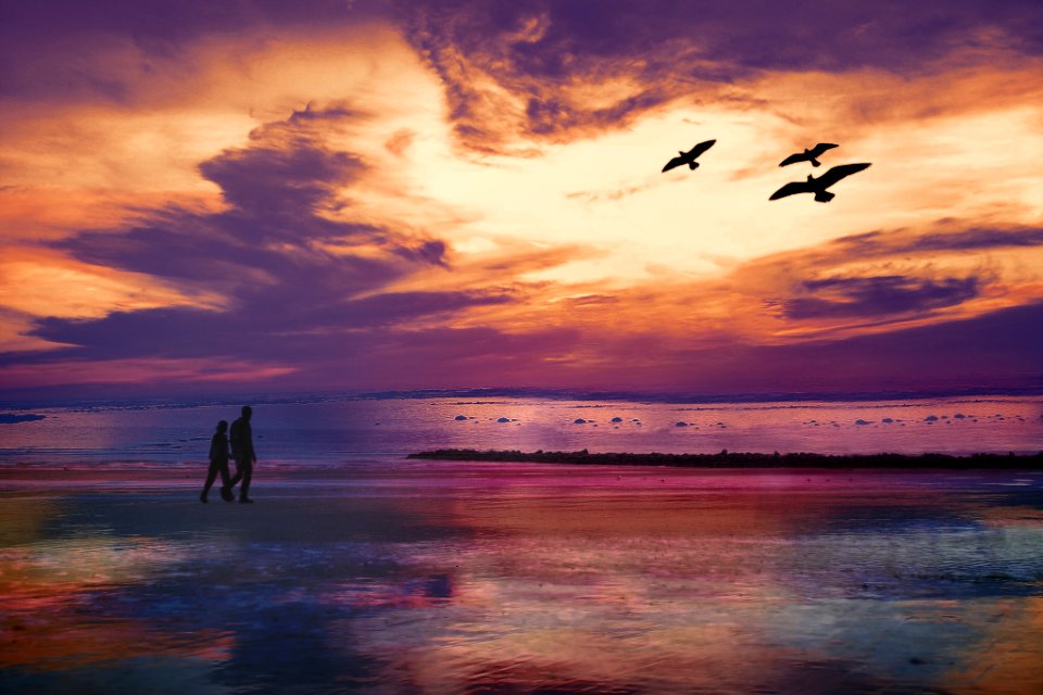 The Beach Birds (221119727)