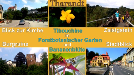 Tharandt