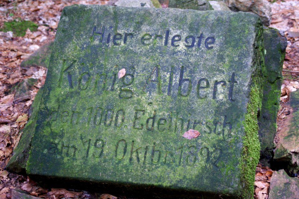 Tharandter wald tausendster edelhirsch