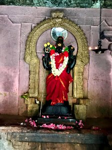 Thiruthalinathar Shiva temple, Tiruppathur Tamil Nadu - 18