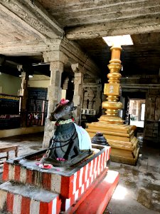 Thiruthalinathar Shiva temple, Tiruppathur Tamil Nadu - 1