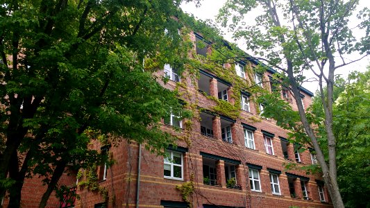 Thomas Dehler Str.7