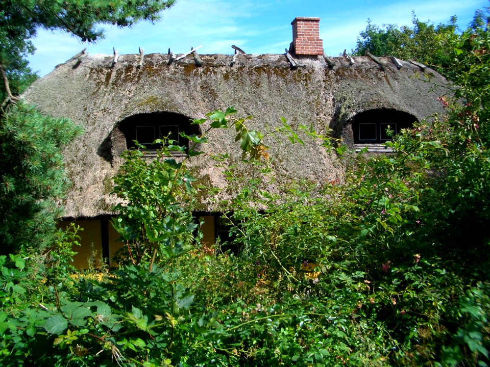 Thatched roof of house in Femo