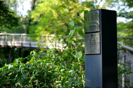 Tharandt zeisiggrundbruecke