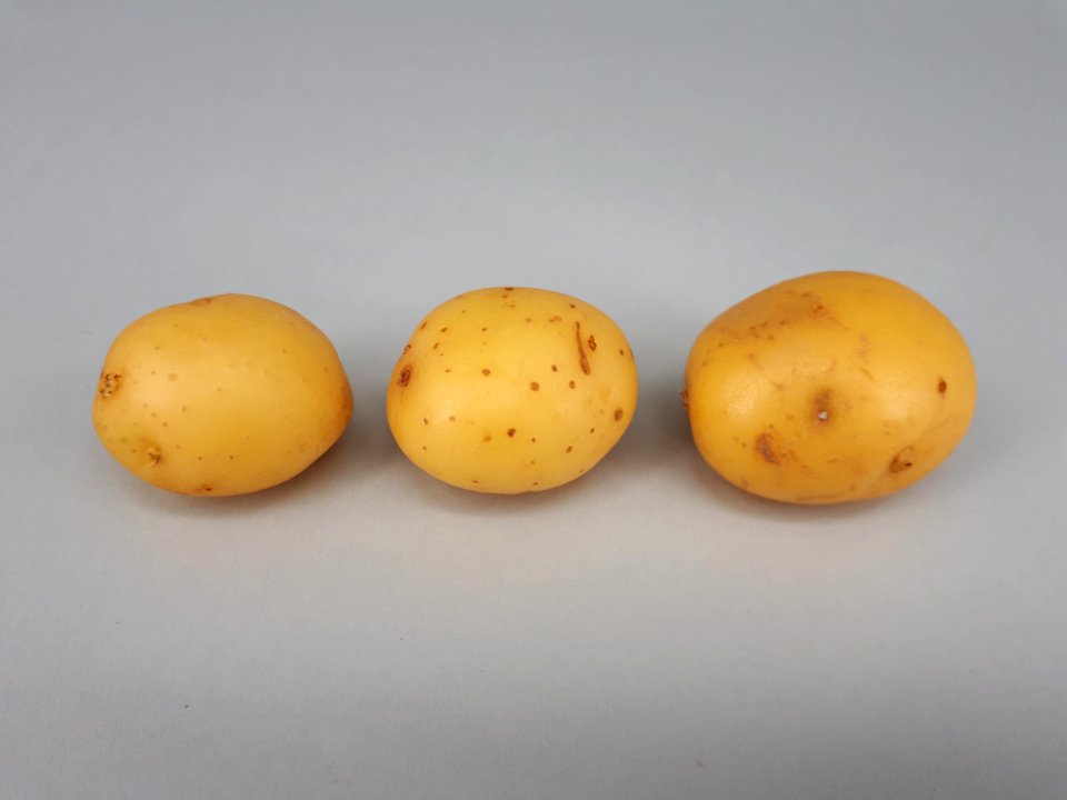 Three small potatoes 2017 A