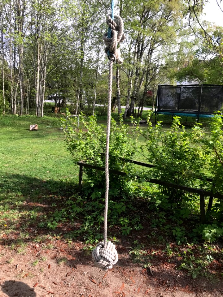 Three Pass Celtic Knot As Rope Swing Seat