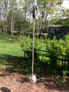 Three Pass Celtic Knot As Rope Swing Seat