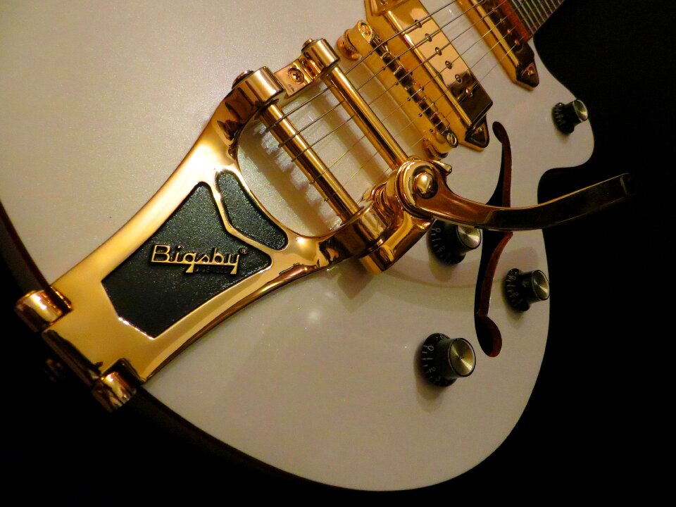 Semi hollow stringed instrument wild kat royale