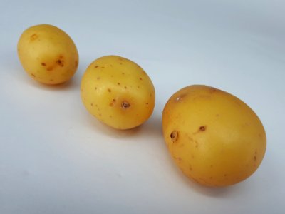 Three small potatoes 2017 B