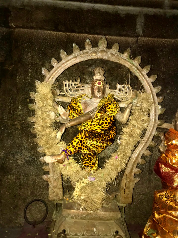 Thiruthalinathar Shiva temple, Tiruppathur Tamil Nadu - 5