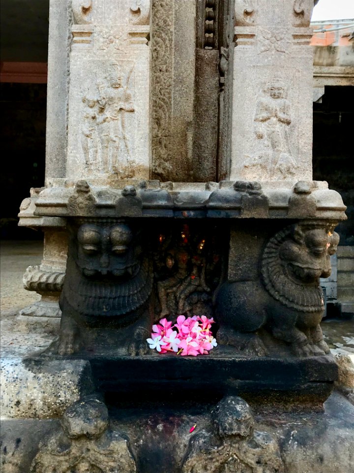 Thiruthalinathar Shiva temple, Tiruppathur Tamil Nadu - 29