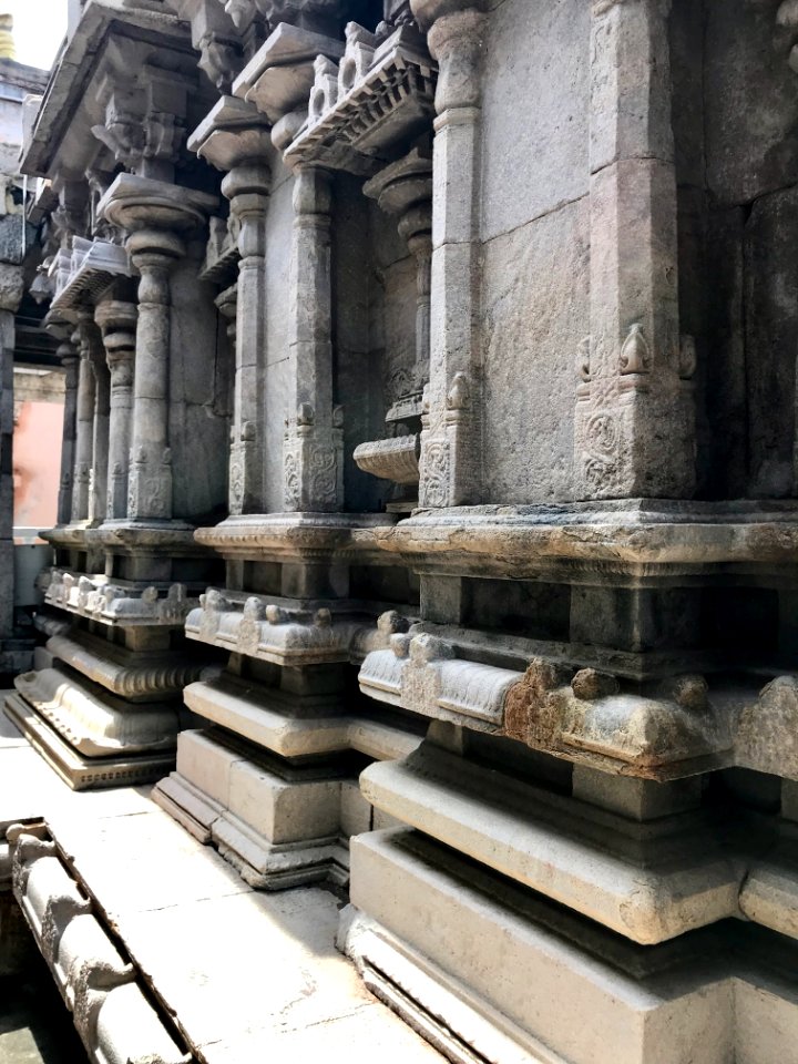 Thiruthalinathar Shiva temple, Tiruppathur Tamil Nadu - 37