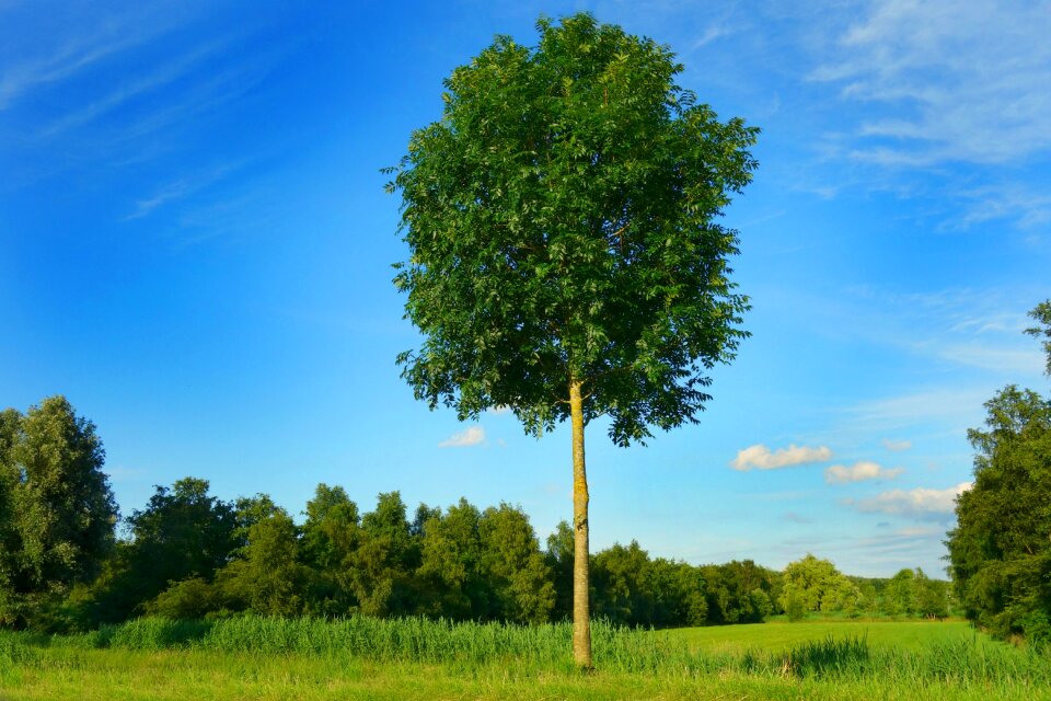 Landscape scenic sky