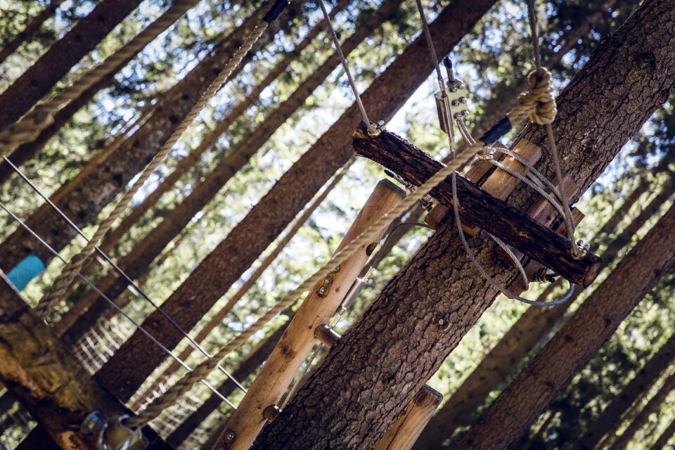 Climbing forest forest high