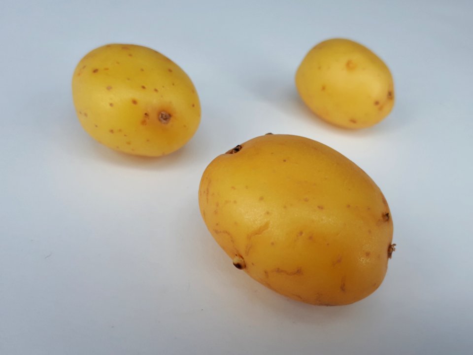 Three small potatoes 2017 D