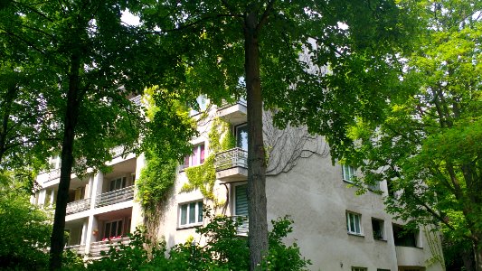 Thomas Dehler Str. 1