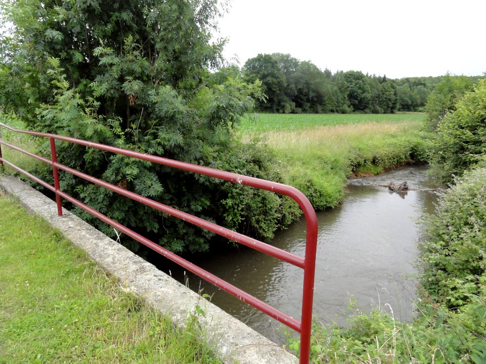 Thoiré-sous-Contensor (Sarthe) la Bienne