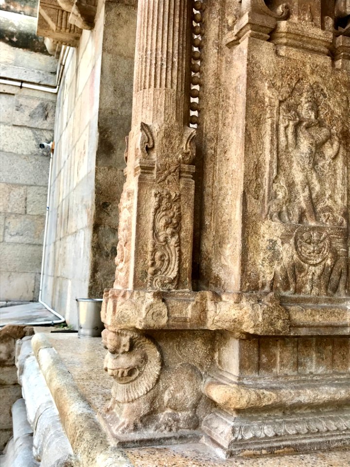 Thiruthalinathar Shiva temple, Tiruppathur Tamil Nadu - 30