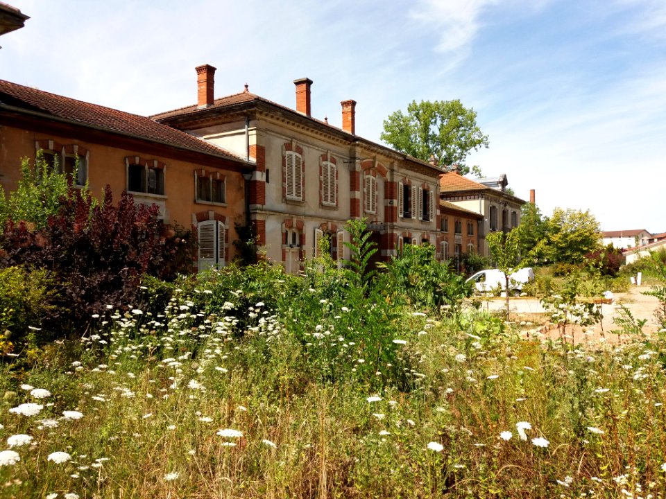 Thizy-les-Bourgs - Rue Jean-Baptiste Fournier - Maisons