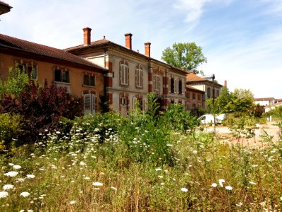 Thizy-les-Bourgs - Rue Jean-Baptiste Fournier - Maisons