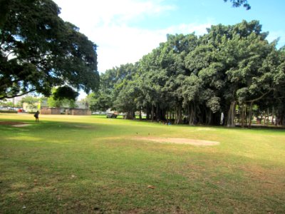 Thomas Square Park in Honolulu