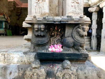 Thiruthalinathar Shiva temple, Tiruppathur Tamil Nadu - 28