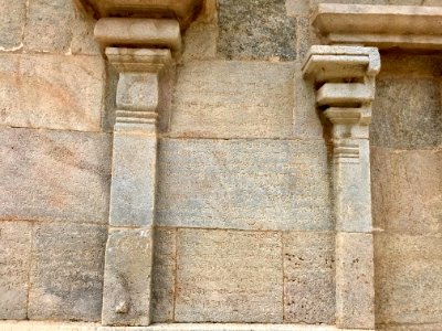 Thiruthalinathar Shiva temple, Tiruppathur Tamil Nadu - 25