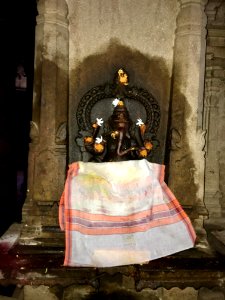 Thiruthalinathar Shiva temple, Tiruppathur Tamil Nadu - 39
