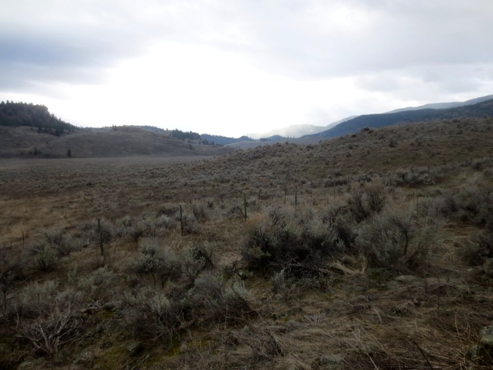 Thompson Plateau, near the Dominion Radio Astrophysical Observatory
