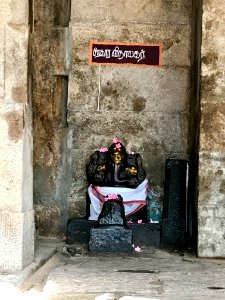 Thiruthalinathar Shiva temple, Tiruppathur Tamil Nadu - 14