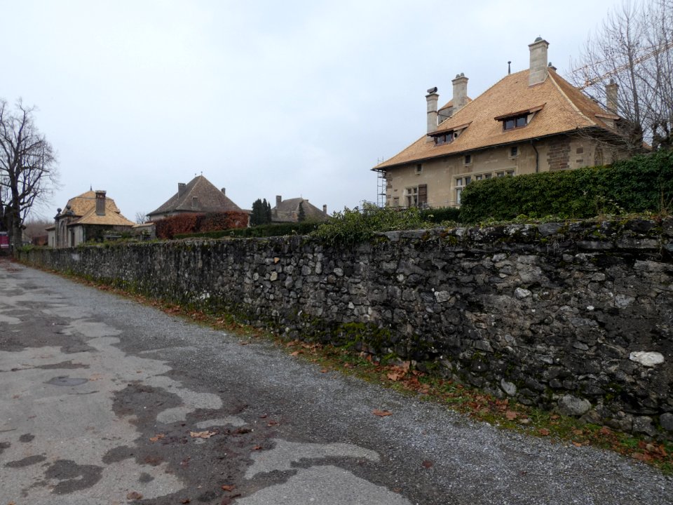 Thonon-les-Bains - Château de Ripaille - Mur le long de la route d'accès