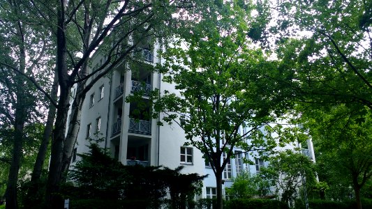 Thomas Dehler Str. 5