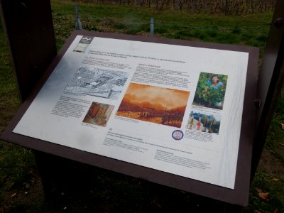 Thonon-les-Bains - Château de Ripaille - Plaque 4