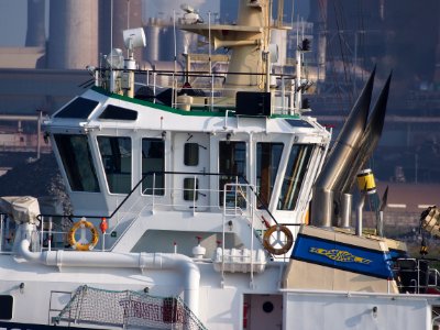 Thor Horizon, IMO 9137117 and Triton, IMO 9451537 at IJmuiden, Port of Amsterdam, pic1