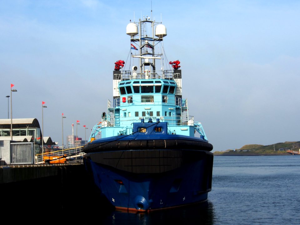 THORAX - IMO 9056789 pic1