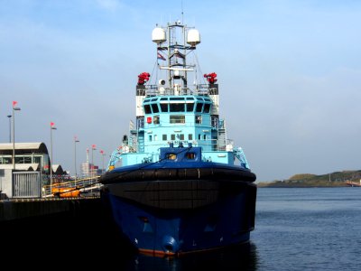 THORAX - IMO 9056789 pic1