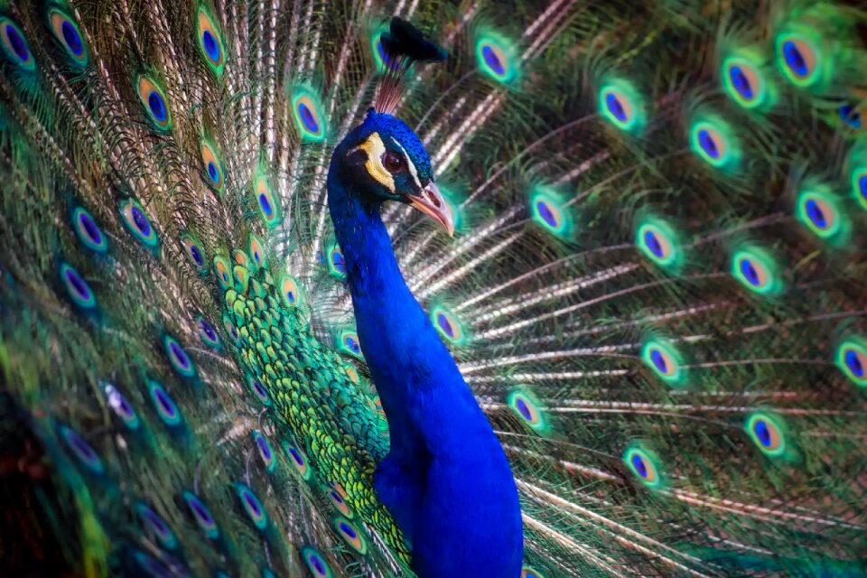 Colorful beautiful outdoors