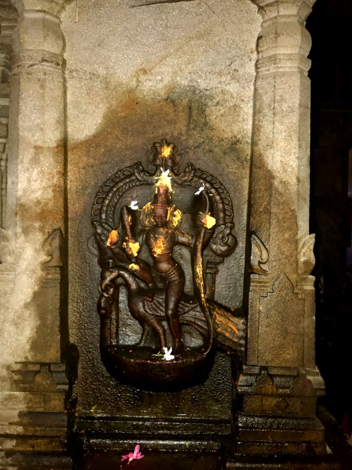 Thiruthalinathar Shiva temple, Tiruppathur Tamil Nadu - 40