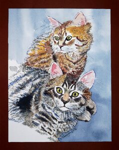 Animal young cats art