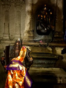 Thiruthalinathar Shiva temple, Tiruppathur Tamil Nadu - 41