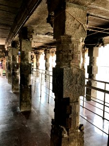 Thiruthalinathar Shiva temple, Tiruppathur Tamil Nadu - 33
