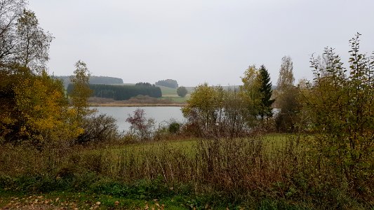 Thommen-Thommer Weiher (2)