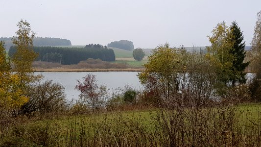 Thommen-Thommer Weiher (1)