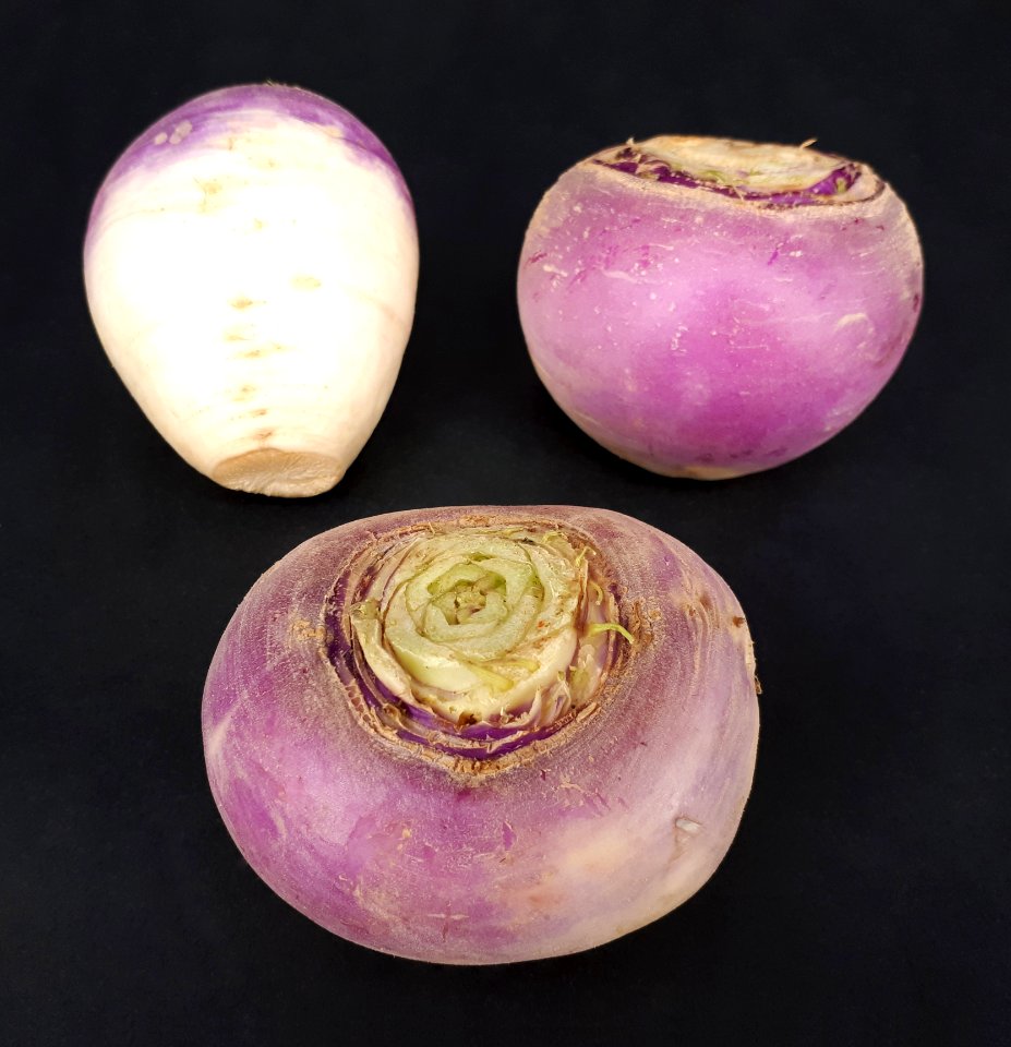 Three turnips 2017 A