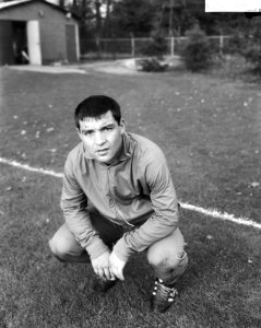 Theo Laseroms (Feyenoord), Bestanddeelnr 918-4223